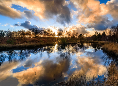 foulshaw moss pool at dusk - c- les fitton