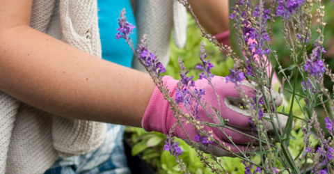 A person gardening with gloves on