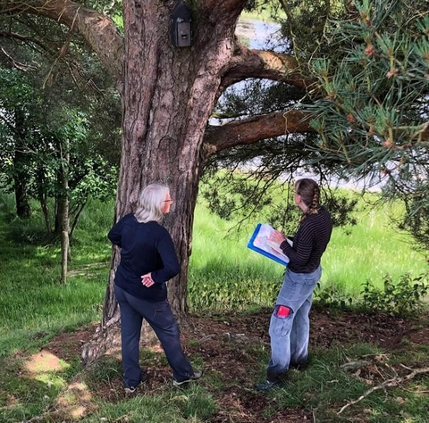 Two women standing in front of a tree, surveying a bat box attached to it