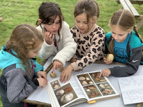 Four young girls standing around a table outdoors, looking at a book of fungi