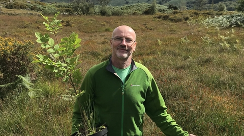 A man in a field holding a tree he's about to plant