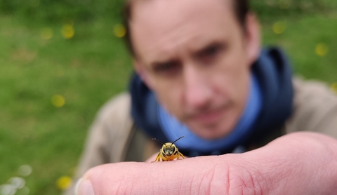 A man, blurred in the background, holds a bee on his finger