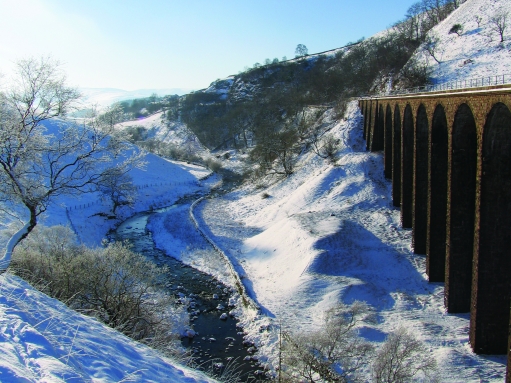 Smardale | Cumbria Wildlife Trust