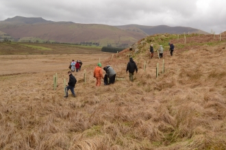 Image of volunteers at a conservation tree planting day at Eycott Hill