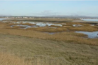 Landscape picture of Foulney Island at low tide