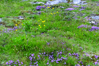 Hutton roof crags landscape 