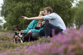 Young couple nature watching with a dog in heathland in august. copyright Tom Marshall