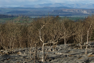 Hutton_Roof_Crags