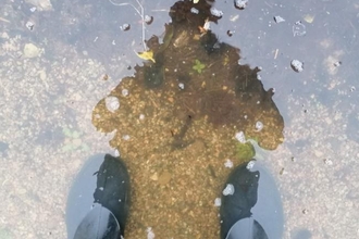 Reflection in puddle