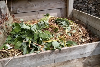 Open compost bin. Photo Kevin Line