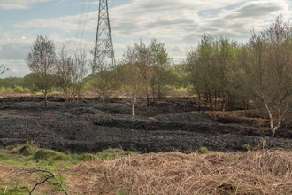 Image of Lancs Wildlife Trust nature reserve after fire credit Janet Packham