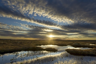 Image of peat credit Mark Hamblin 2020VISION