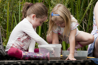 Image of children looking at wildlife credit Ross Hoddinott 2020VISION