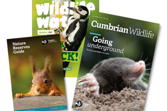 Collage of front covers of Membership magazine, wildlife watch and reserve guide