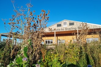 Image of Gosling Sike with flowers in front credit Cumbria Wildlife Trust