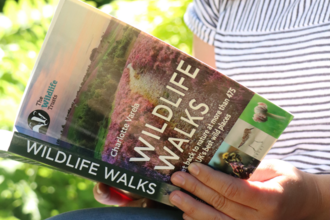 An outdoor shot of a person's hands holding a book called 'Wildlife Walks'. 