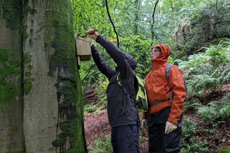 Henry and Lewis, Young Volunteer Day, Staveley Woodlands, 2023