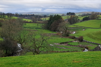 Home | Cumbria Wildlife Trust