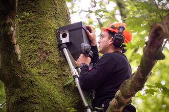 Image of Josh Adams putting up red squirrel box in tree