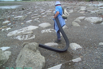 3metre length of rubber being removed from the beach