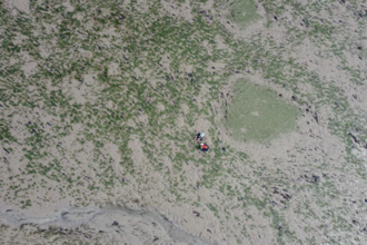 A bird's eye view view of people working on the seagrass bed