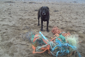 More commercial fishing nets washed up on the beach