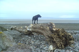 The lovely Grune Point beach