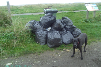 Dog guarding large black bag spoils