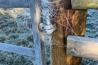 A frost-covered spiders web on the hinge of a gate leading into a field