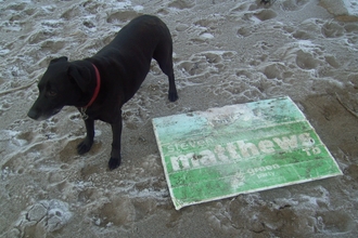 Green Party election placard !