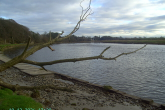 Lovely pic of Rockcliff River bank in prestine condition after a cleanup