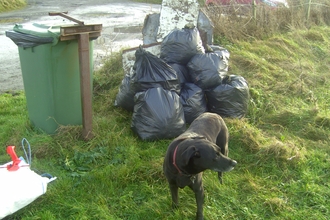 Bags of rubbish, wood and metal removed from the beach