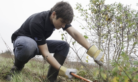 Warden Day; Young volunteers clearing scrub at the RSPB Vange Marsh near Basildon, Essex © Paul Harris/2020VISION