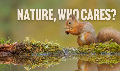 Nature who cares - web page banner General Election 2024