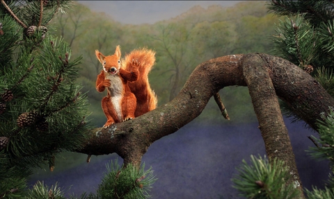 Twiggy squirrel image from film by Environment Agency