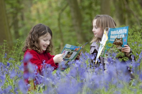 Wildlife Watch Activities – Children and Young People's Strategic  Partnership (CYPSP)
