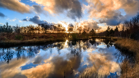 foulshaw moss pool at dusk - c- les fitton