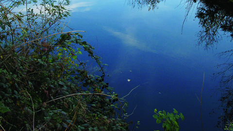 Bowness on solway landscape