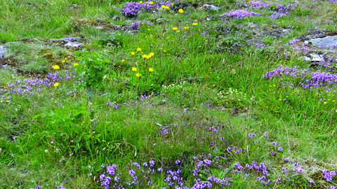 Hutton roof crags landscape 