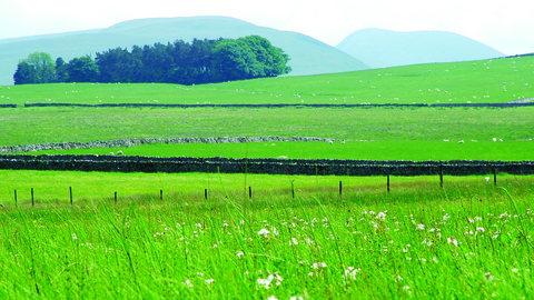 Tarn sike nature reserve landscape -copyright andrew walter