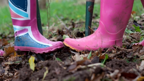 image of pink wellington boots and spades gardening - copyright tom marshall