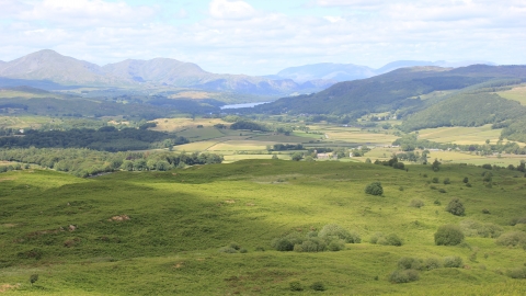 Landscape view of Lowick Common Nature Reserve