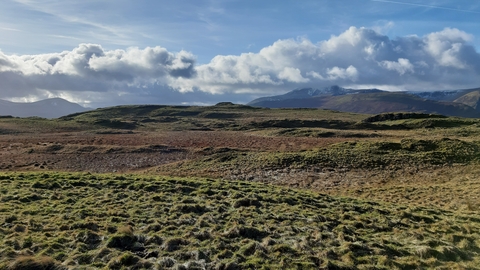 View across the wetlands to the summit of Eycott Hill