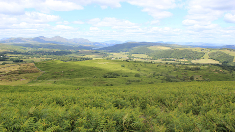 Image of Lowick Common near Ulverston © Andrew Walter