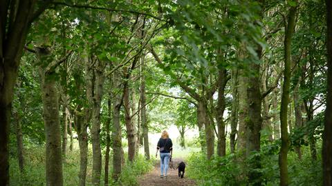 Image of walking in Tarraby Woods Gosling Sike © Andrew Heptinstall