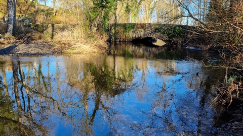 Image of Cunsey beck in Lake District credit South Cumbria Rivers Trust