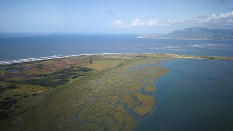 Image of saltmarshes at Walney Island credit Emily Baxter