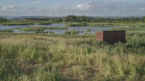 A wooden hide standing among long grasses at a nature reserve, overlooking a lake