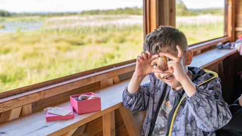 A child inside a wildlife hide, overlooking a grassy plain, holds up a bird egg to their face. 