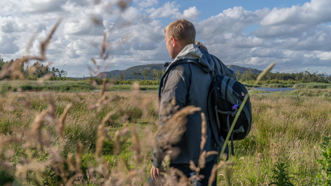A man stands in a nature reserve surrounded by long grasses on a sunny day